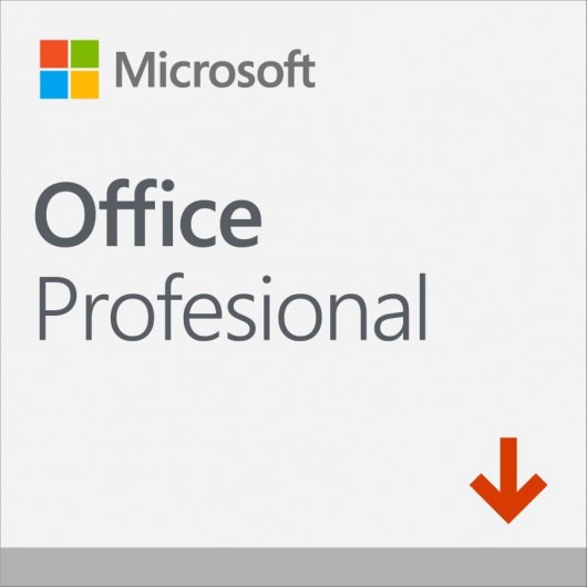 Microsoft Office Professional 2013 1OPK